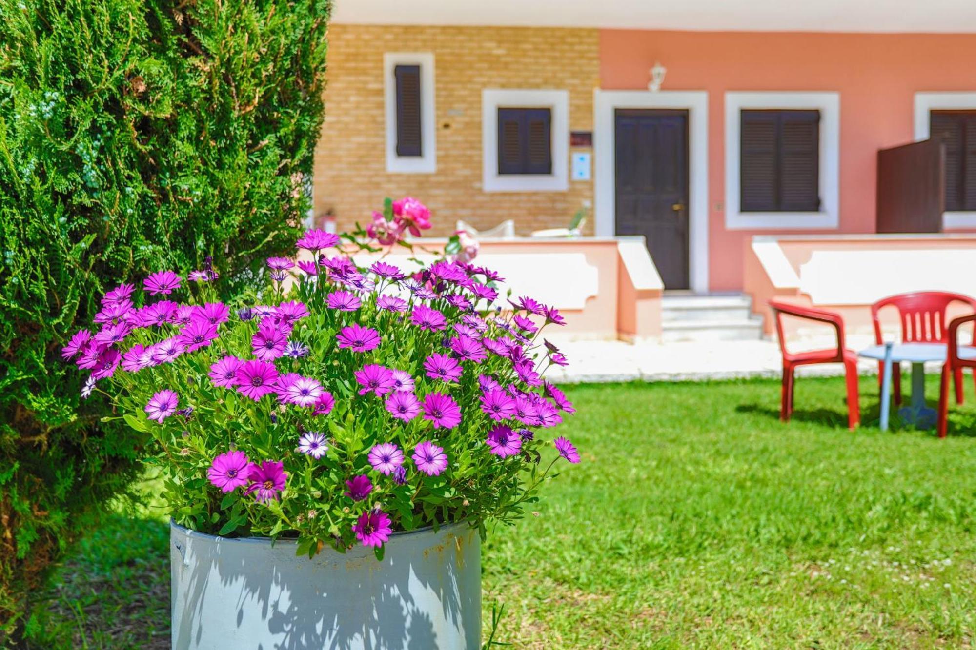 Amarylis Apartment Παραλία Αλμυρού Εξωτερικό φωτογραφία